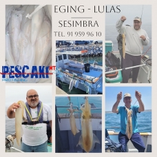 EMBARCAÇÃO PESCAKI - Pesca às LULAS em Sesimbra - T. 91 959 96 10